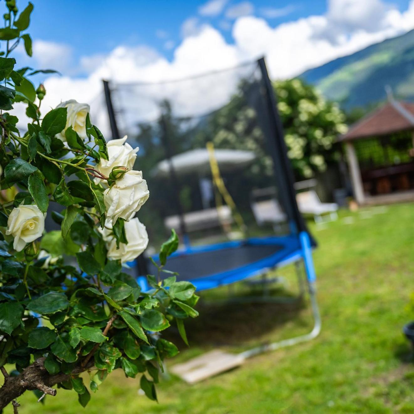 Apartamento Biohof Gala Naturns Exterior foto